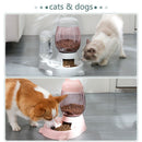 3 Colors Large Capacity Cat Automatic Dog Dispenser Drinking Bowl Pet Feeder