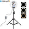 Vlogging LED Ring Light 3 Color Temperature with 110cm Tripod Video Light Kits