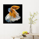Golden Fish Full Drill Round Diamond Painting DIY Mosaic Kits Home Decor