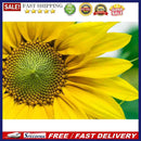 1000pcs DIY Yellow Sunflower Puzzle Educational Learning Assembling Jigsaw