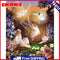 DIY Oil Paint by Numbers Flying Fairy Hand Painted Acrylic Coloring Drawing Kit