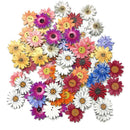 50pcs Wooden Sewing Button Flower Shape DIY Scrapbooking Knit Clothing -