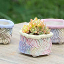 Hand Kneaded Bark Texture Square Pot White Pottery Flower Pot Succulent N9W4