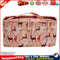 Oxford Cloth Printing Wool Crochet Storage Tote Knitting Yarn Bag (A Deer) Newly