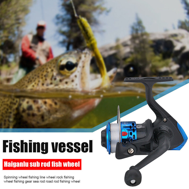 3BB 5.1/1 Gear Ratio Spinning Freshwater Fishing Reel with Spool Wire Cup R