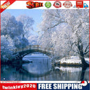 Hand Painted DIY Snow by Lake Oil Canvas Paint By Numbers Drawing Kit Craft