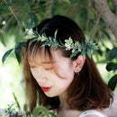 Forest Bridal Wedding Tiara Imitation Flower Leaf Crown Hair Headpiece Y9L8