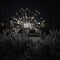 LED Solar Firework Lights Outdoor Dandelion Fairy String Lamp (Cold White) Newly
