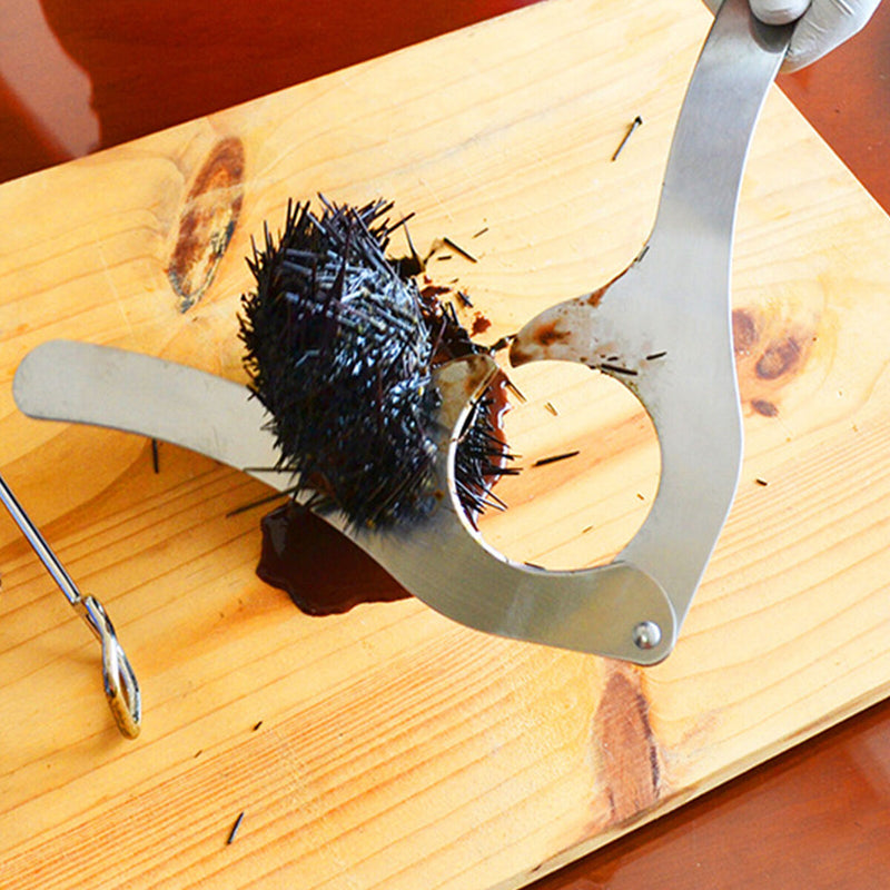 Stainless Steel Sea Urchin Scissors - Multipurpose Ultra Sharp Utility Tool