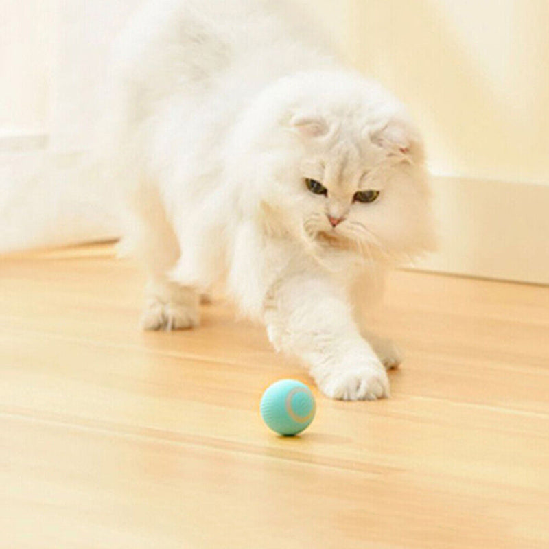 Gravity Smart Cat Ball Toys Catnip Sounding Interactive Rolling Training To