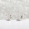 Zircon Ear Buckle Double Rows Zircon Ear Stud Diamond Earrings Ear Piercing