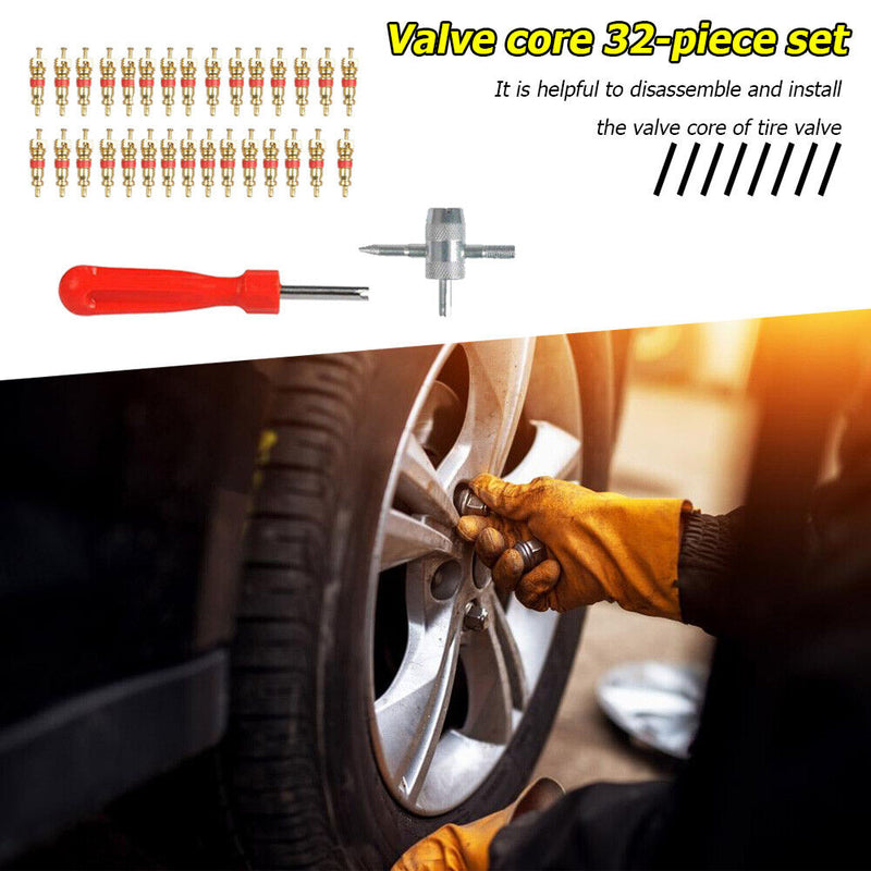 30pcs Brass Valve Cores with Car Bicycle Tire Valve Core Remover + 4 Way To