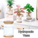 Transparent Plastic Vase Plant Flower Pot Hydroponic Vase Flower Arrangement