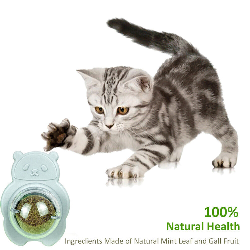 Catnip Ball Pets Cat Toys Licking Kitten Molar Teaser Cleaning Training Sup
