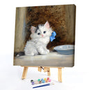Hand Painted on Canvas DIY Cute White Cat Oil Paint By Numbers Drawing Kit Craft