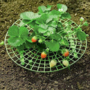 1Pcs Plant Plastic Tool Strawberry stand Growing Circle Support Rack Farming