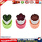 3pcs Star Heart Rabbit Shape Vegetables Cutter Cooking Baking Molds (C) Newly