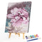 Pink Flower Oil Paint By Numbers Canvas DIY Picture Coloring Drawing for Ad