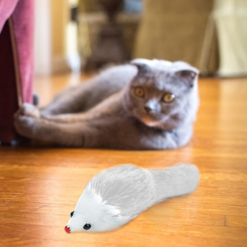 6pcs Cat Plush Toys Simulation Big Mouse Sounding Interactive Toys Pet Suppli