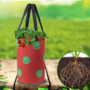 Felt Grow Bags Display Pockets DIY Hanging Strawberry Plant Bag (Red) Newly