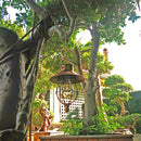 LED Lantern Metal Bronze Hollow Out Solar Charged Hanging Art Household Ornament