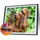 5D DIY Diamond Painting Animal Full Round Drill Wall Decor Art Crafts Mosaic