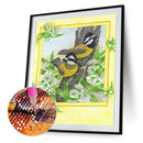 #A 5D Partial Special Shape Drill Diamond Mosaic Birds Series Rhinestone Draw Ho
