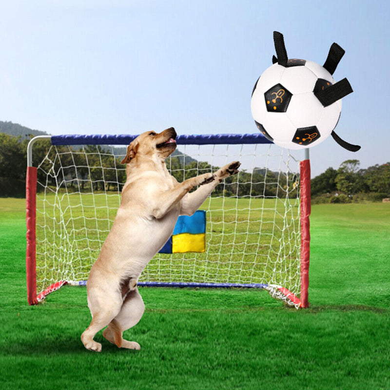 Funny Interactive Puppy Palying Ball Toys Rubber Dogs Chewing Training Ball