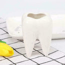 Cute Tooth Shaped Ceramic Succulent Cactus Flower Pot Furnishings` Home T2D9
