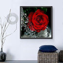30x30cm 5D Diamond Painting DIY Rose Red Painting Cross Stitch Needlework