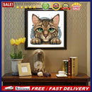 Cat Animal Series DIY Diamond Painting Kits Full Round Drill 30x30cm (A2281)