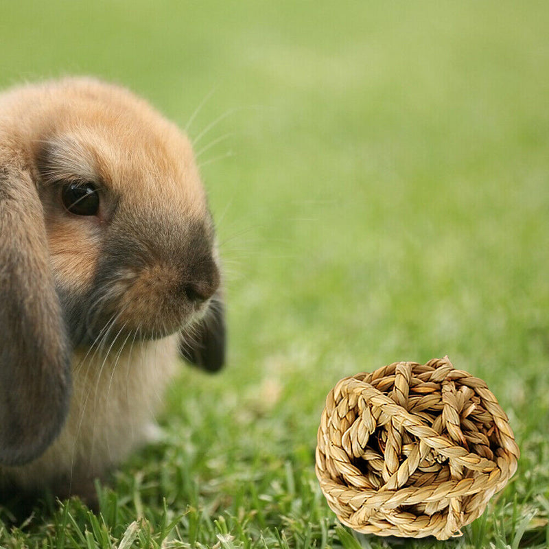 Hamster Rabbit Chewing Molar Grass Ball Small Animals Pet Tooth Clean Balls