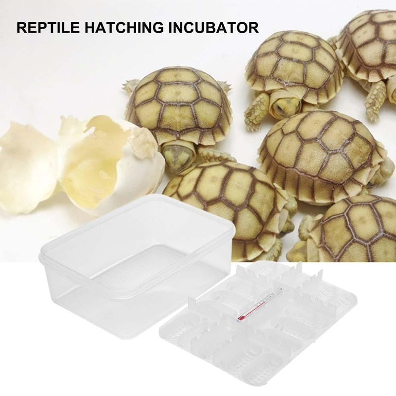 16 Grids Plastic Reptiles Egg Incubator Tray Eggs Hatcher Case for Lizard S