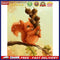 Small animals 40x50cm Oil Paint By Numbers Picture DIY