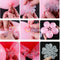 Wedding Supplies Romantic Party Decor Flower Shape Sealing Clip Balloon Sticks