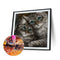 5D DIY Diamond Painting Full Round Drill Two Cats Wall Decor Rhinestone Cra