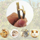 50g Wood Chew Sticks Twigs for Small Pets Rabbits Hamster Guinea Pig Best hot.