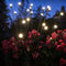 Creative Solar Lamp Convenient Use Yard Decor for Outdoor (Warm Light+6LED)