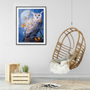5D DIY Full Round Drill Diamond Painting Owl Pattern for Adults 30x40cm