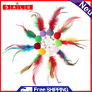 10pcs Pompom Feather for Cat Teasing Stick Kitten Teaser Ball Replacement Toys