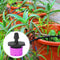 100pcs Practical Water Dropper Creative Potted Plant Watering Device Drip Head
