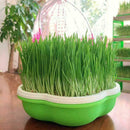 Home Kitchen Sprouter Bean Sprouts Maker Growing Hydroponic Nursery BEST I E6B4