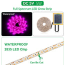 #A Solar LED Plant Grow Light Strip Greenhouse Hydroponic Phytolamp Equipment