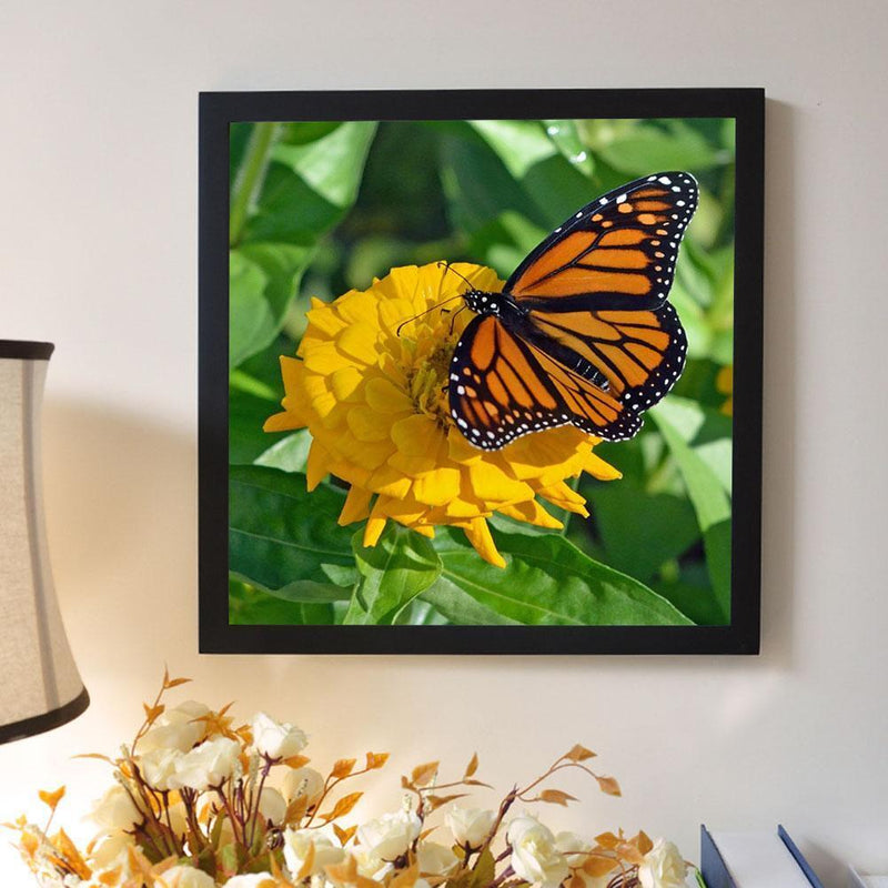 5D DIY Full Drill Diamond Painting Butterfly Embroidery Mosaic Craft Kit