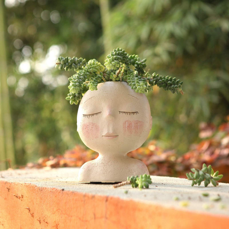 NUOVO BUSTO PRESIDENZIALE CHIA PET DONALD TRUMP LIBERTÀ DI SCELTA SIGILLATO IN CONFEZIONE