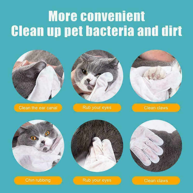 Pet No washing glove Pet Cleaning Gloves For Cats Supplies Dog Pet 45g I4C1 J6F2