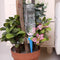 12 x Garden Cone Watering Flower Plant Waterers Bottle Irrigation System