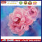 Pink Peony Oil Paint By Numbers DIY Handpainted on Canvas Wall Art Gift Unf