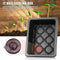 12 Cell Planting Seedlings Starter Trays for Indoor Outdoor Plants Garden Tools