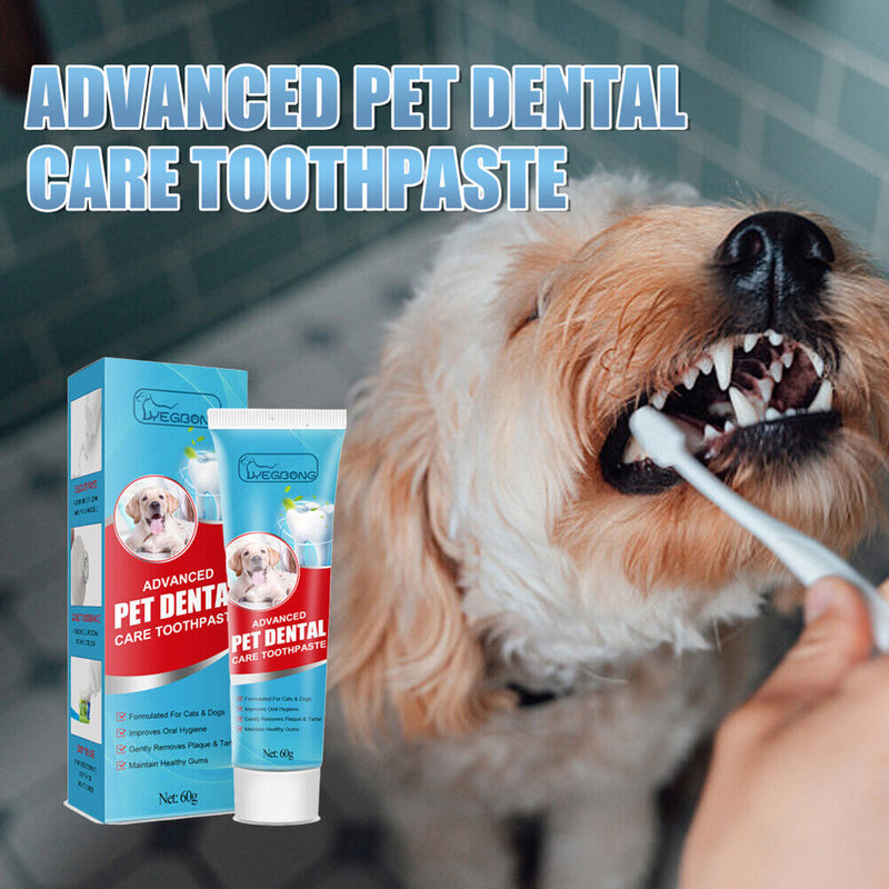60g Cat Toothpaste Teeth Cleaning Puppy Kitten Enzymatic Toothpaste Pet Products